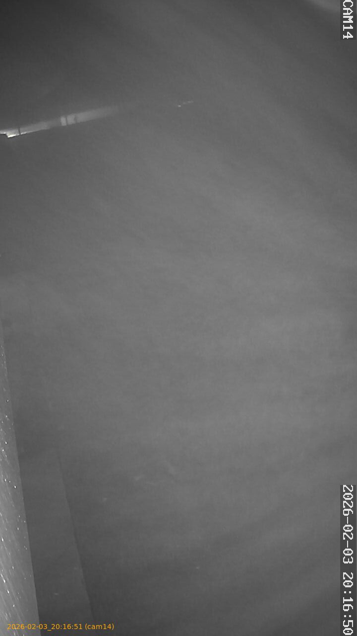 thumbnail_20260203201651