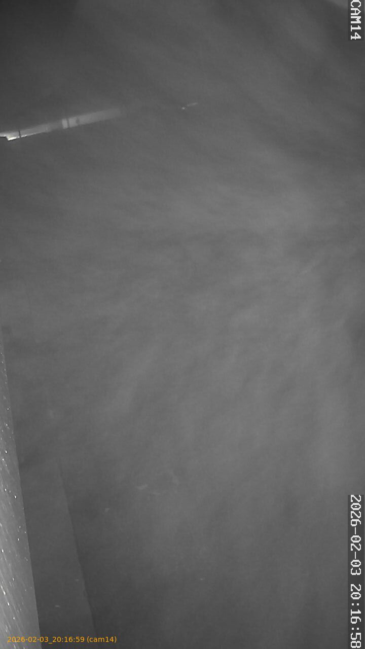 thumbnail_20260203201659