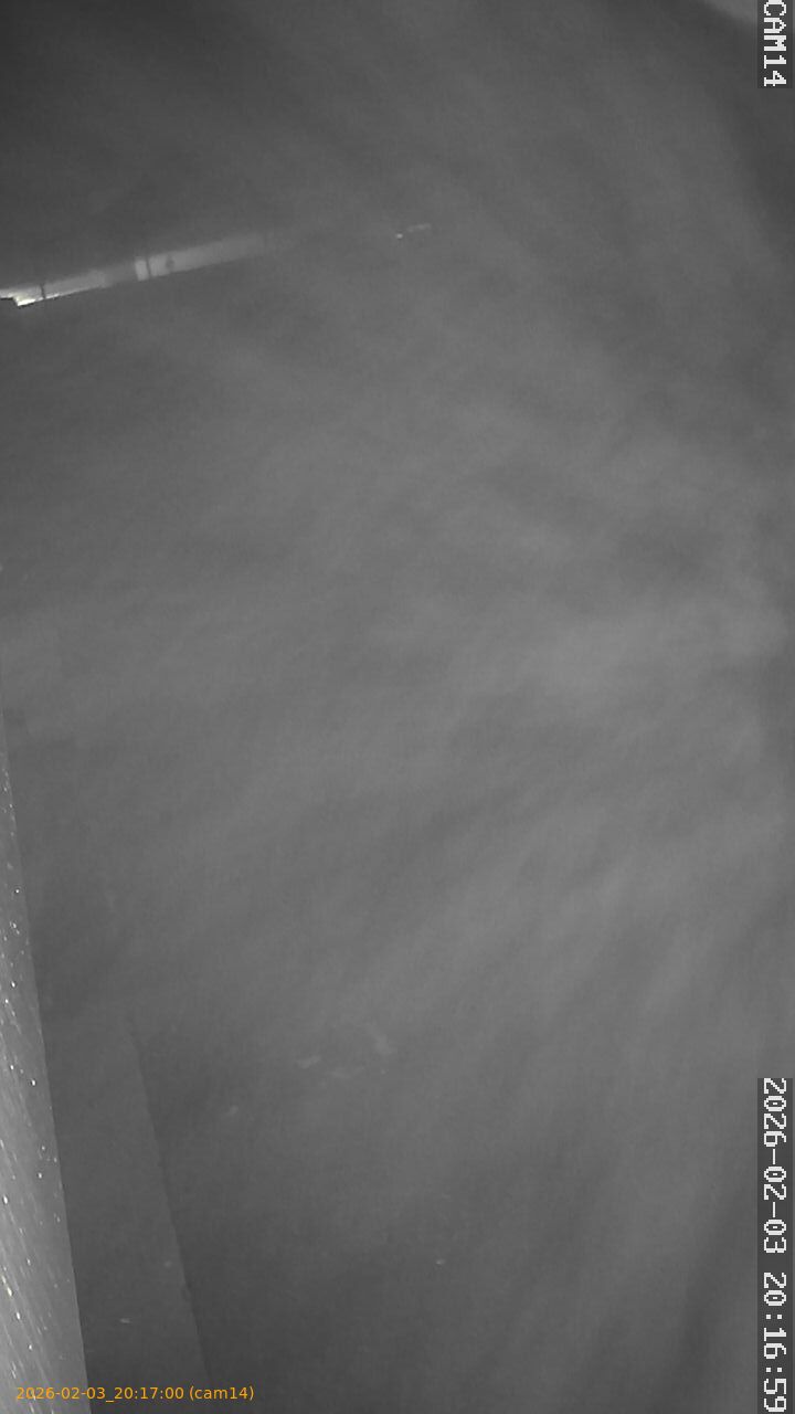 thumbnail_20260203201700