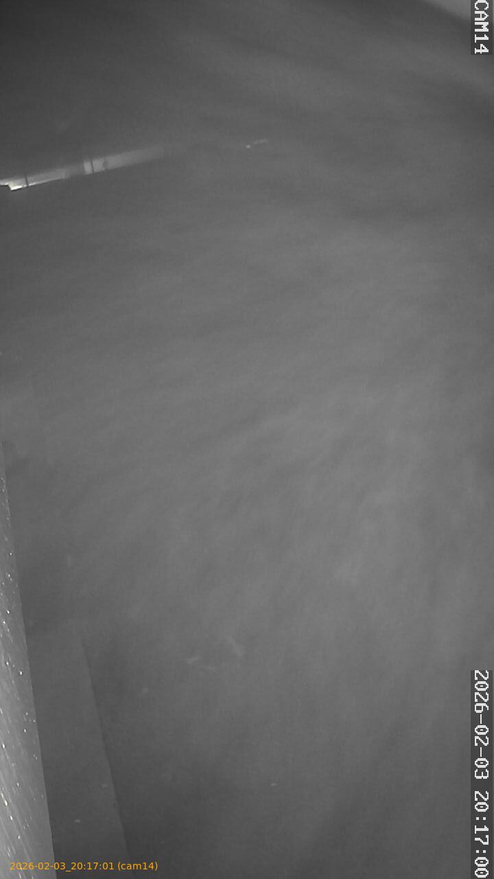 thumbnail_20260203201701