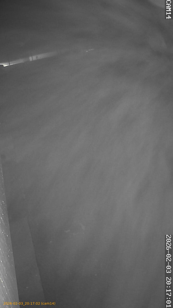 thumbnail_20260203201702