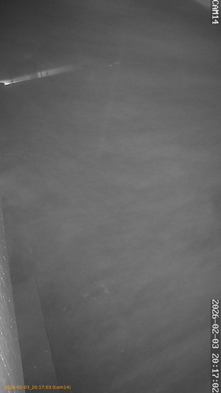 thumbnail_20260203201703