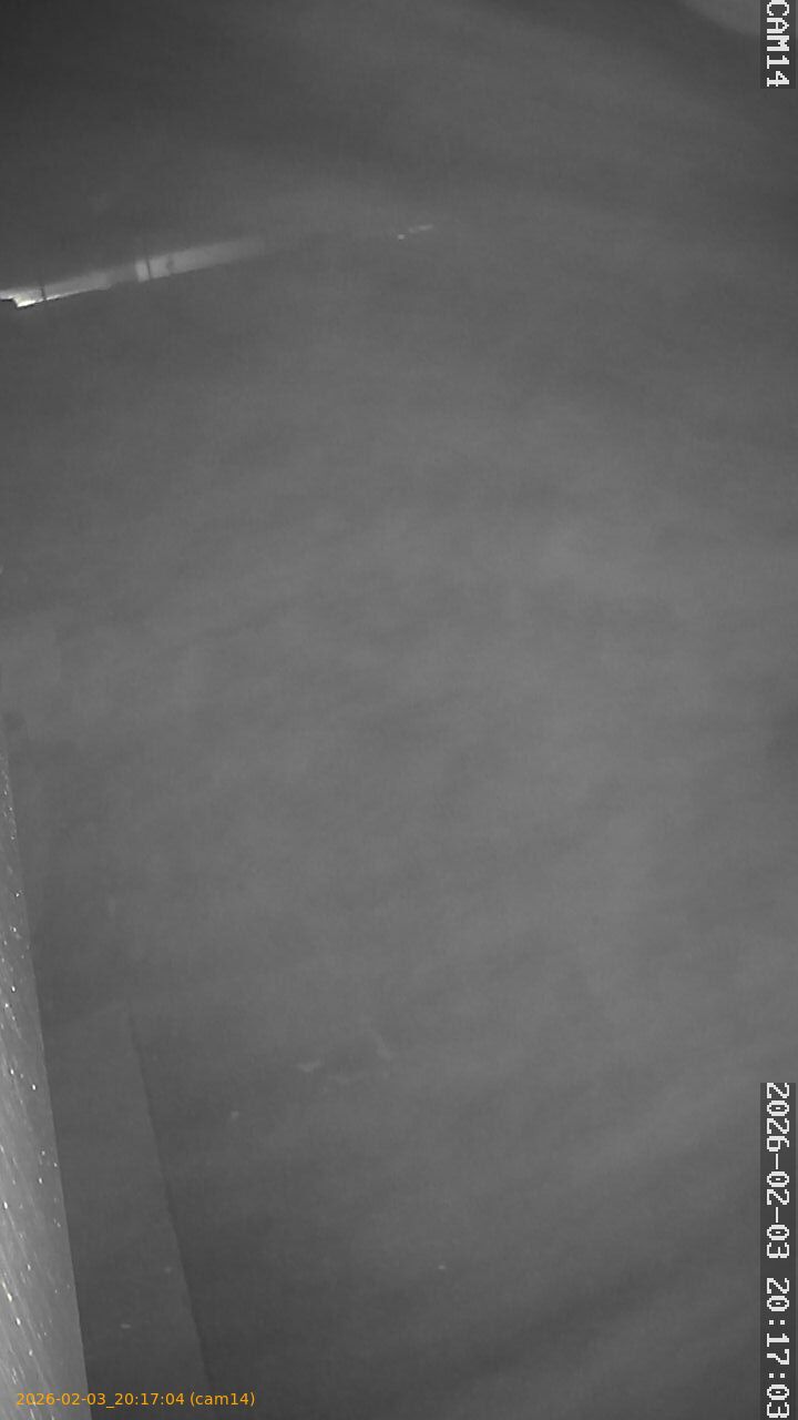 thumbnail_20260203201704