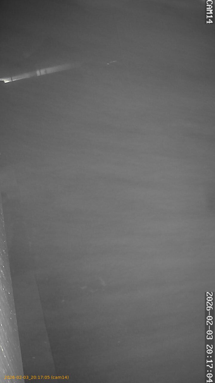 thumbnail_20260203201705