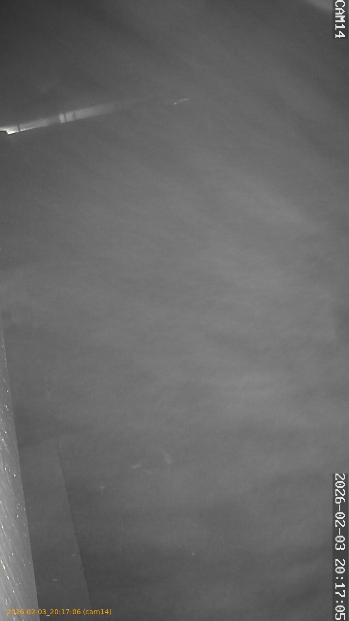 thumbnail_20260203201706