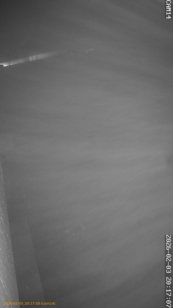 thumbnail_20260203201708