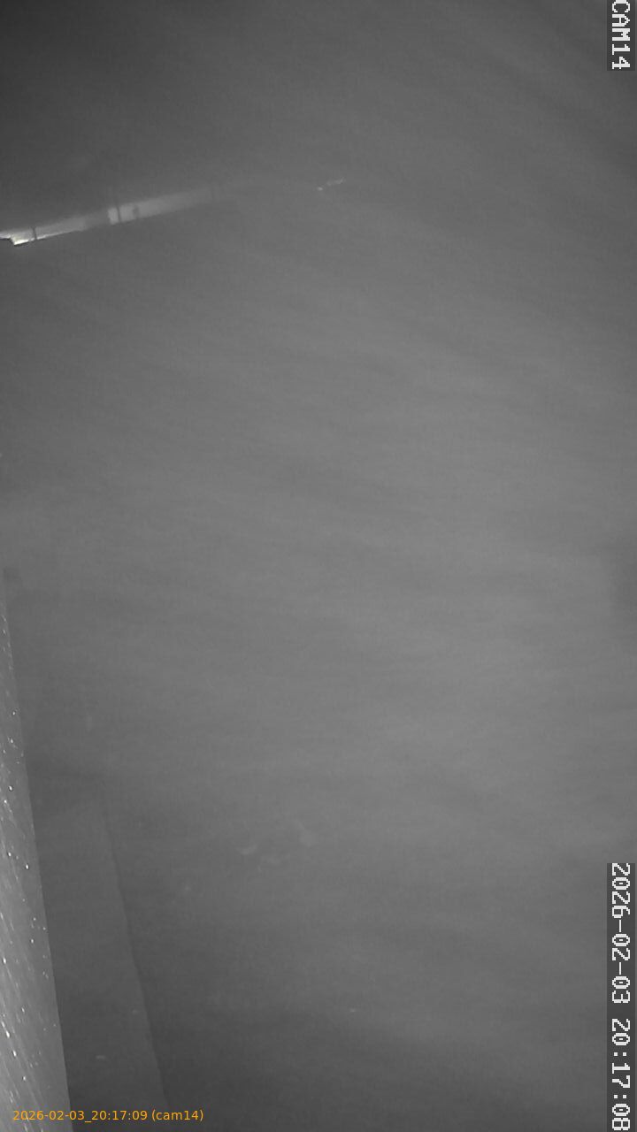 thumbnail_20260203201709