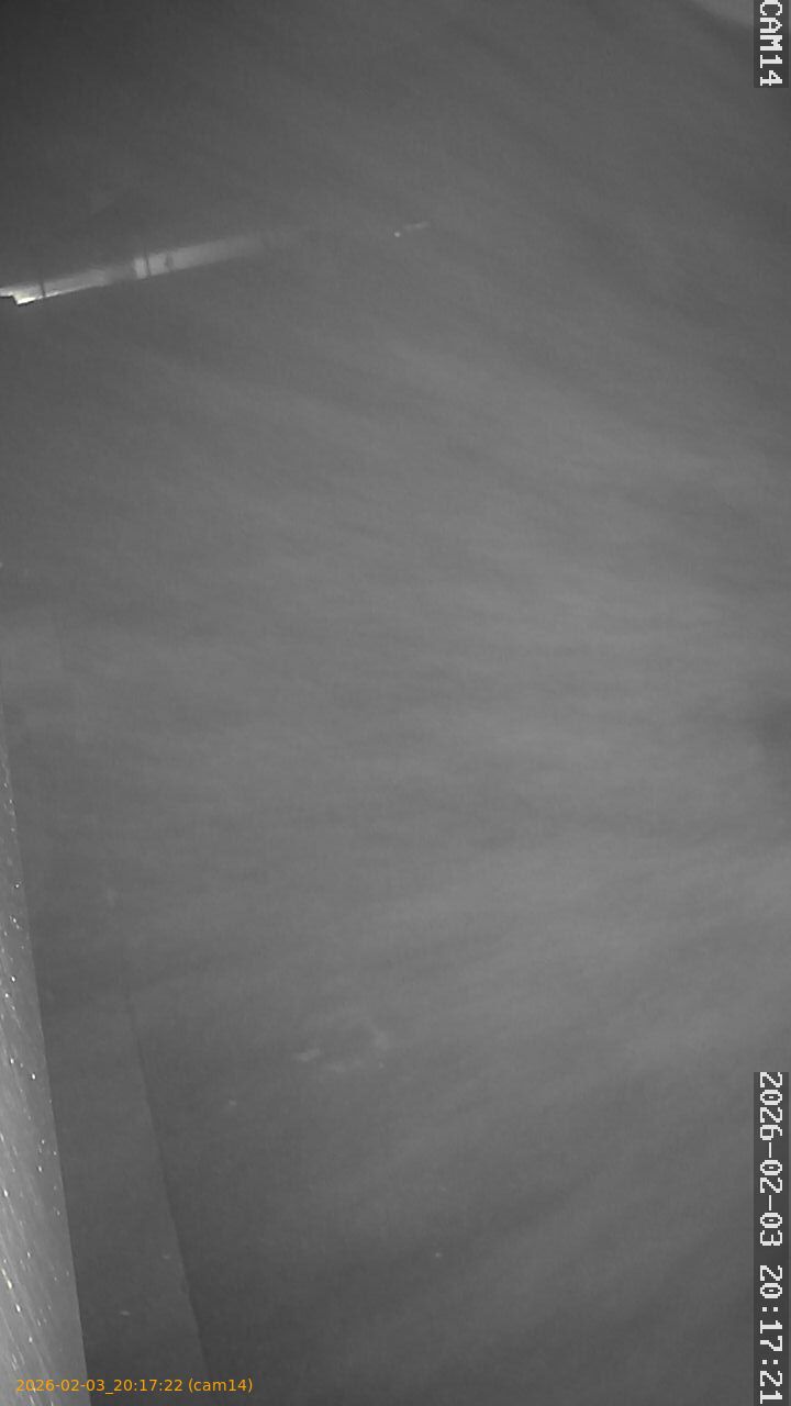 thumbnail_20260203201722