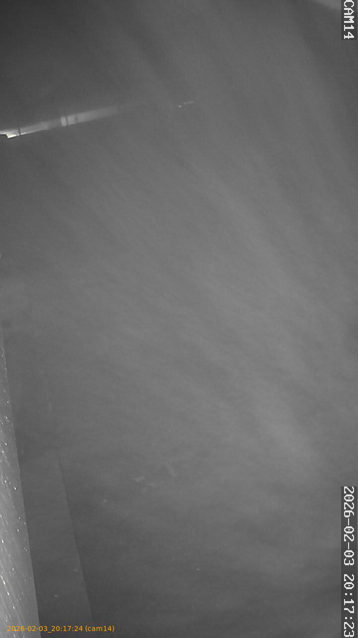 thumbnail_20260203201724