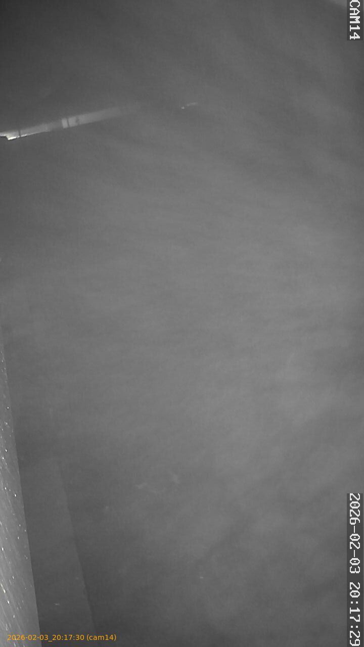 thumbnail_20260203201730