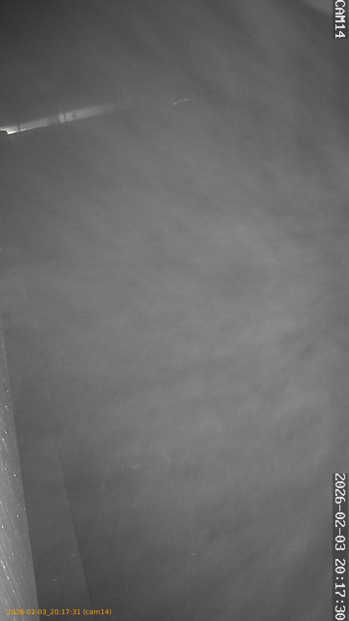 thumbnail_20260203201731