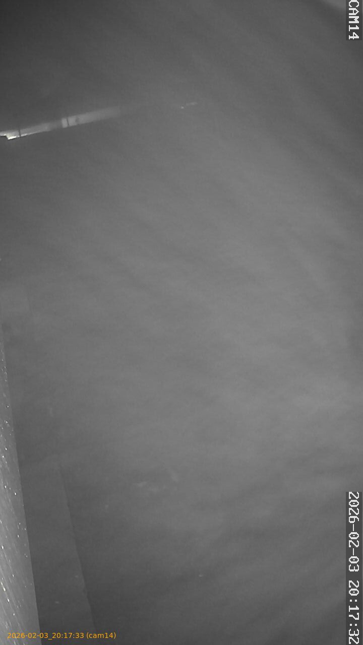 thumbnail_20260203201733