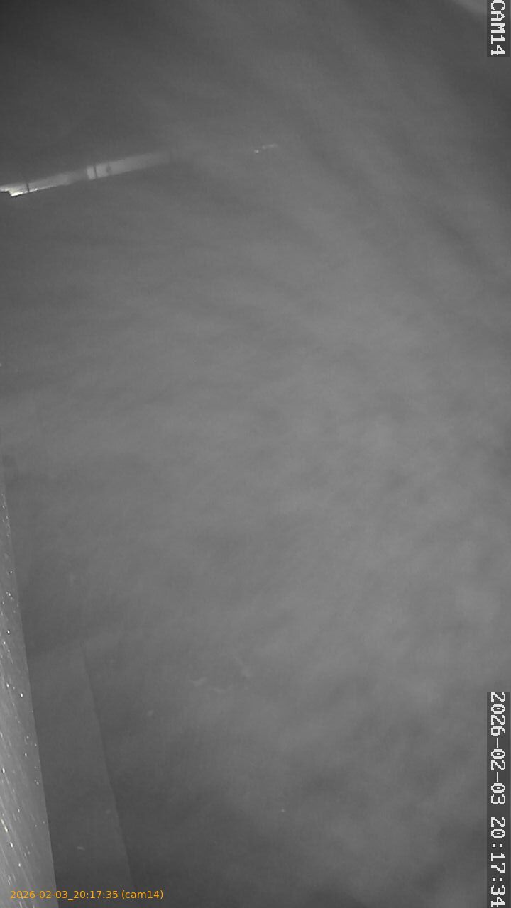 thumbnail_20260203201735