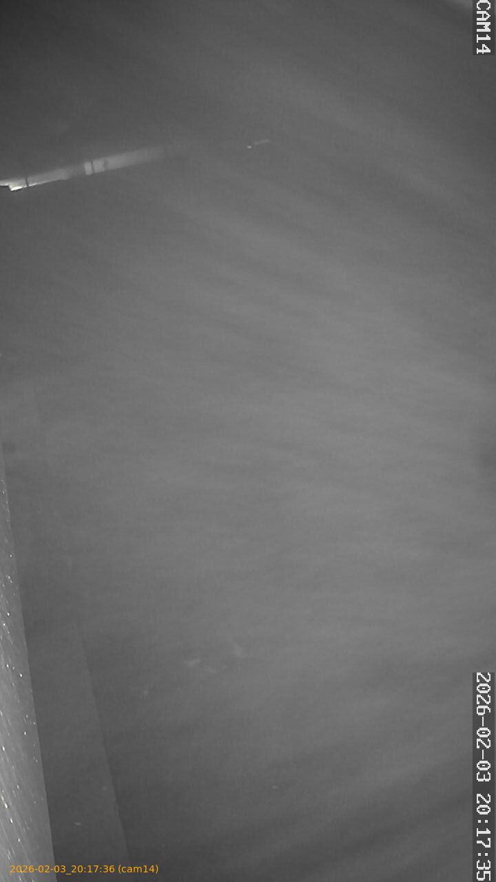 thumbnail_20260203201736