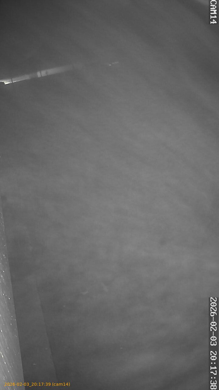 thumbnail_20260203201739