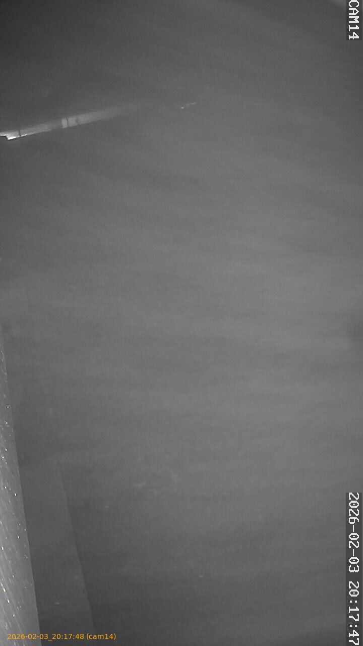 thumbnail_20260203201748