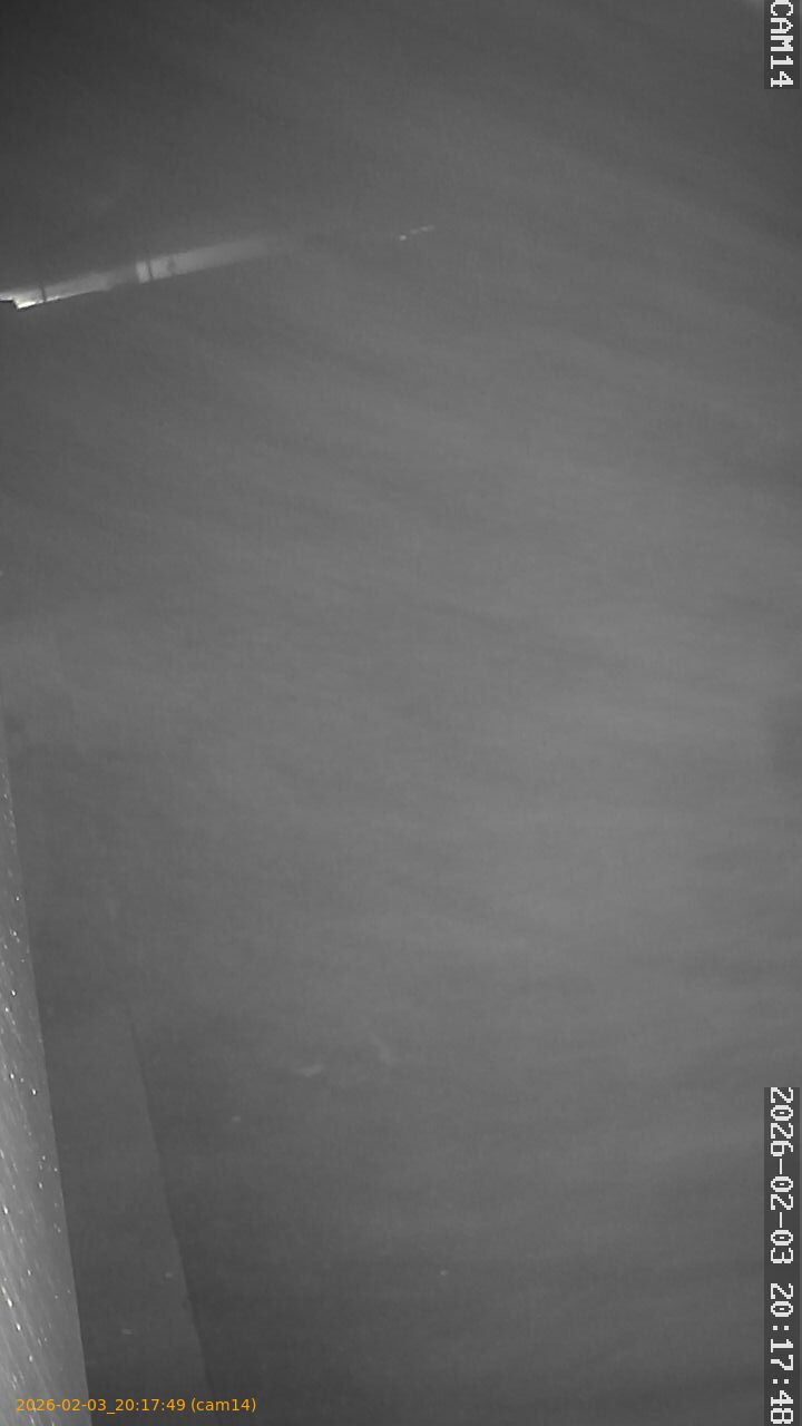 thumbnail_20260203201749