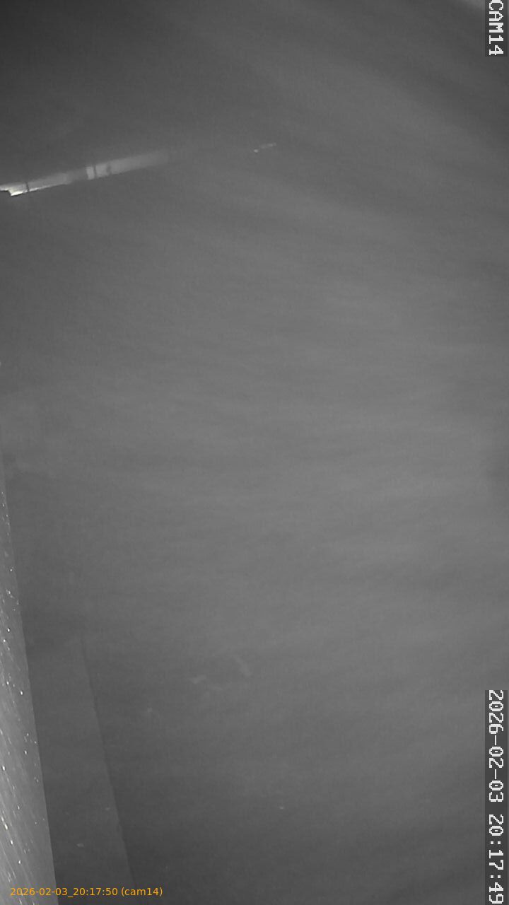 thumbnail_20260203201750