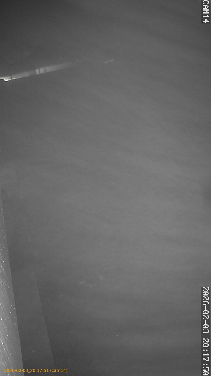 thumbnail_20260203201751