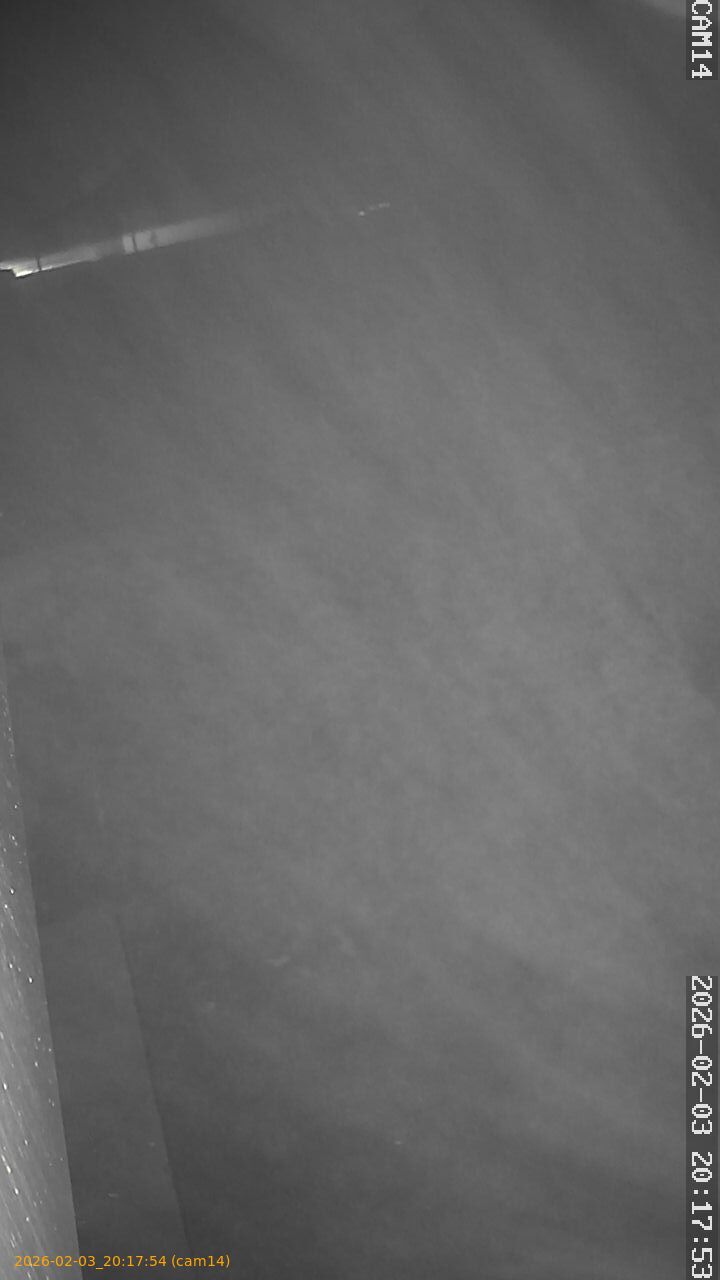 thumbnail_20260203201754