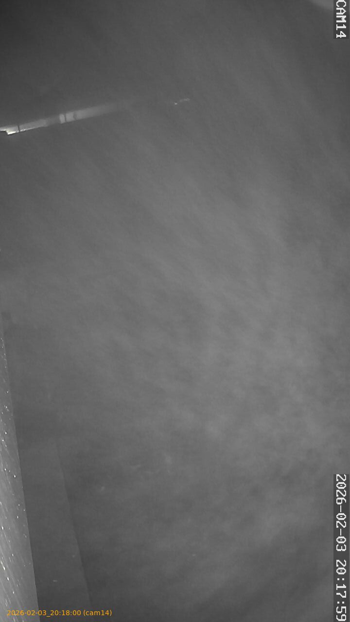 thumbnail_20260203201800