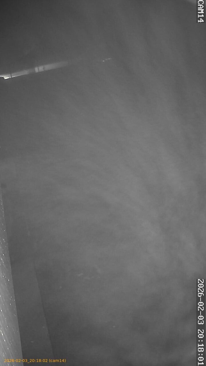 thumbnail_20260203201802