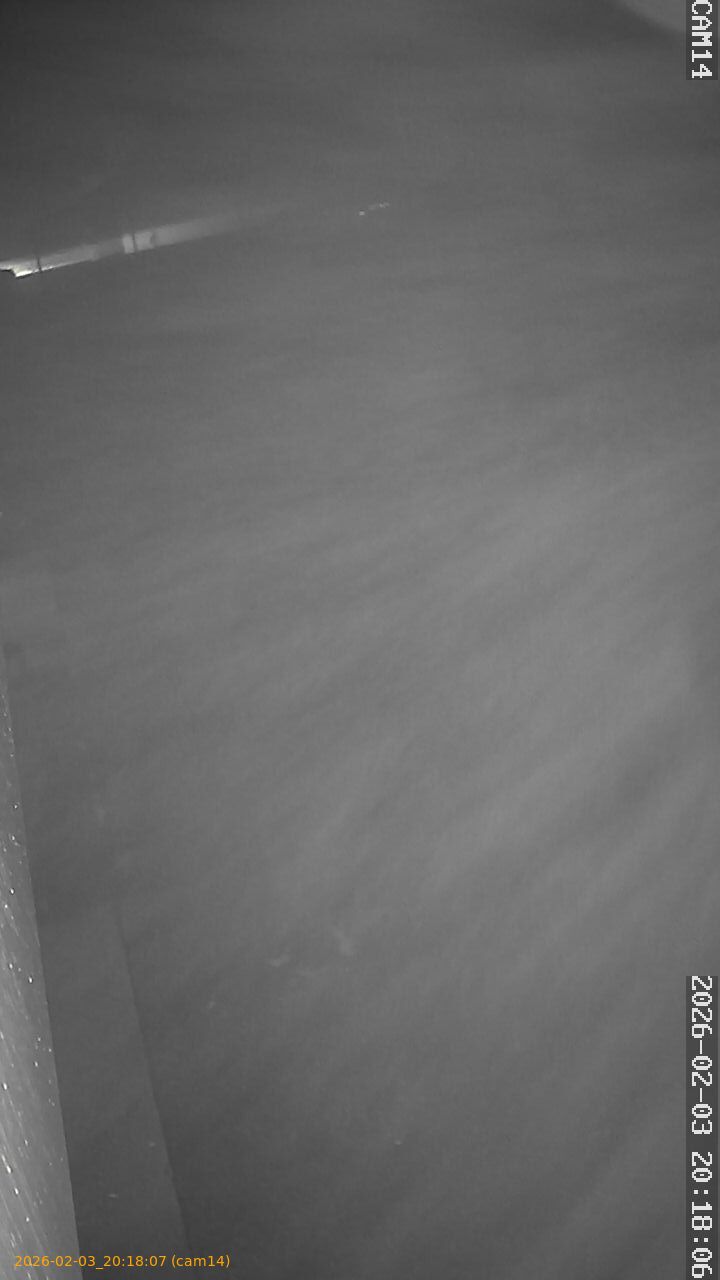 thumbnail_20260203201807