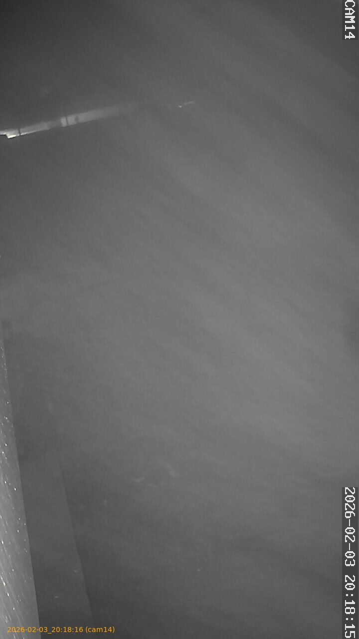 thumbnail_20260203201816