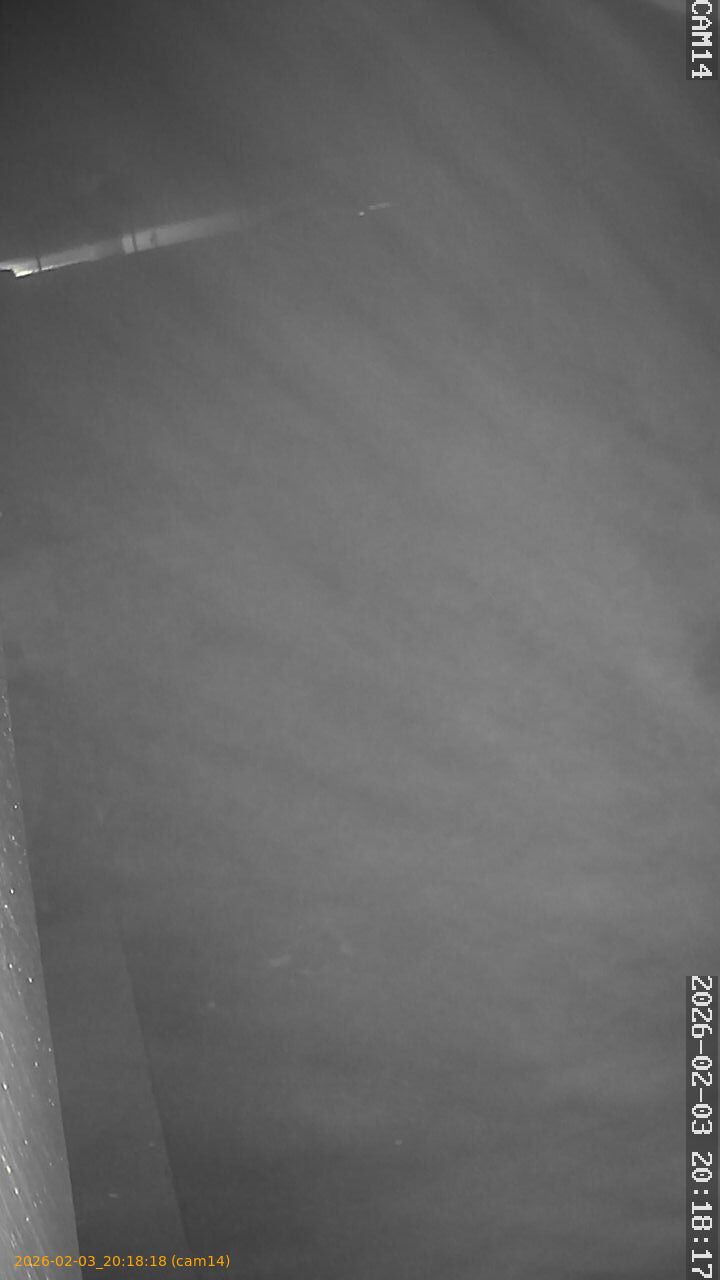 thumbnail_20260203201818