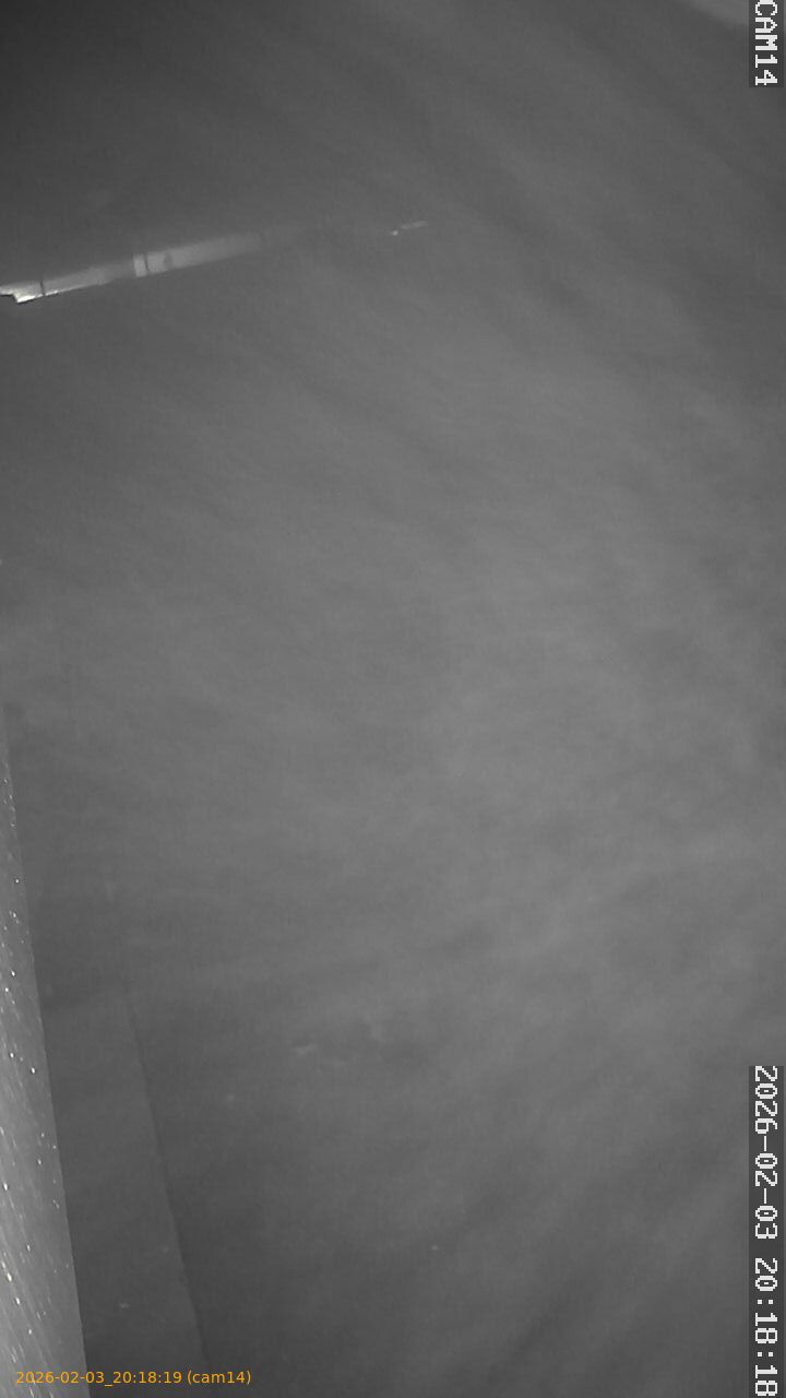 thumbnail_20260203201819