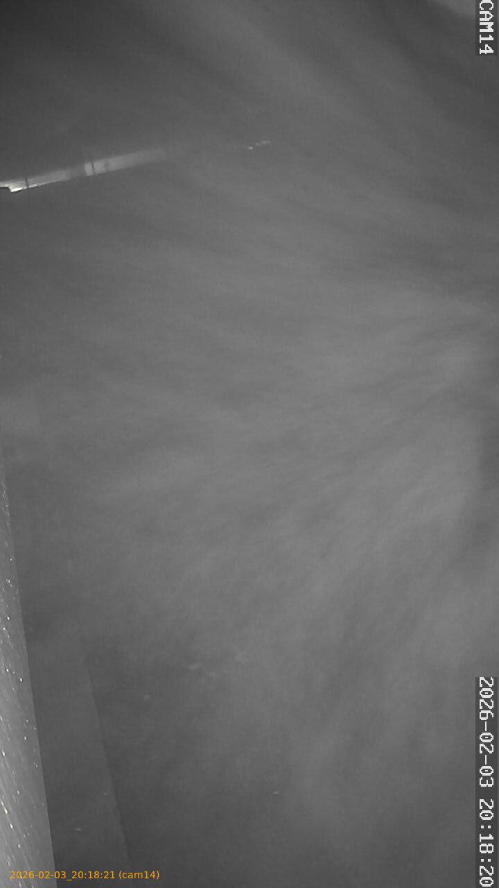 thumbnail_20260203201821