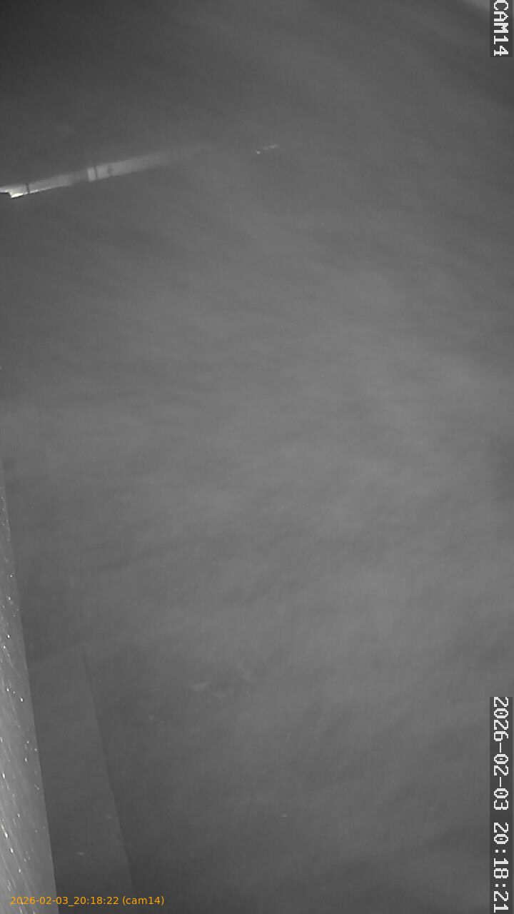 thumbnail_20260203201822