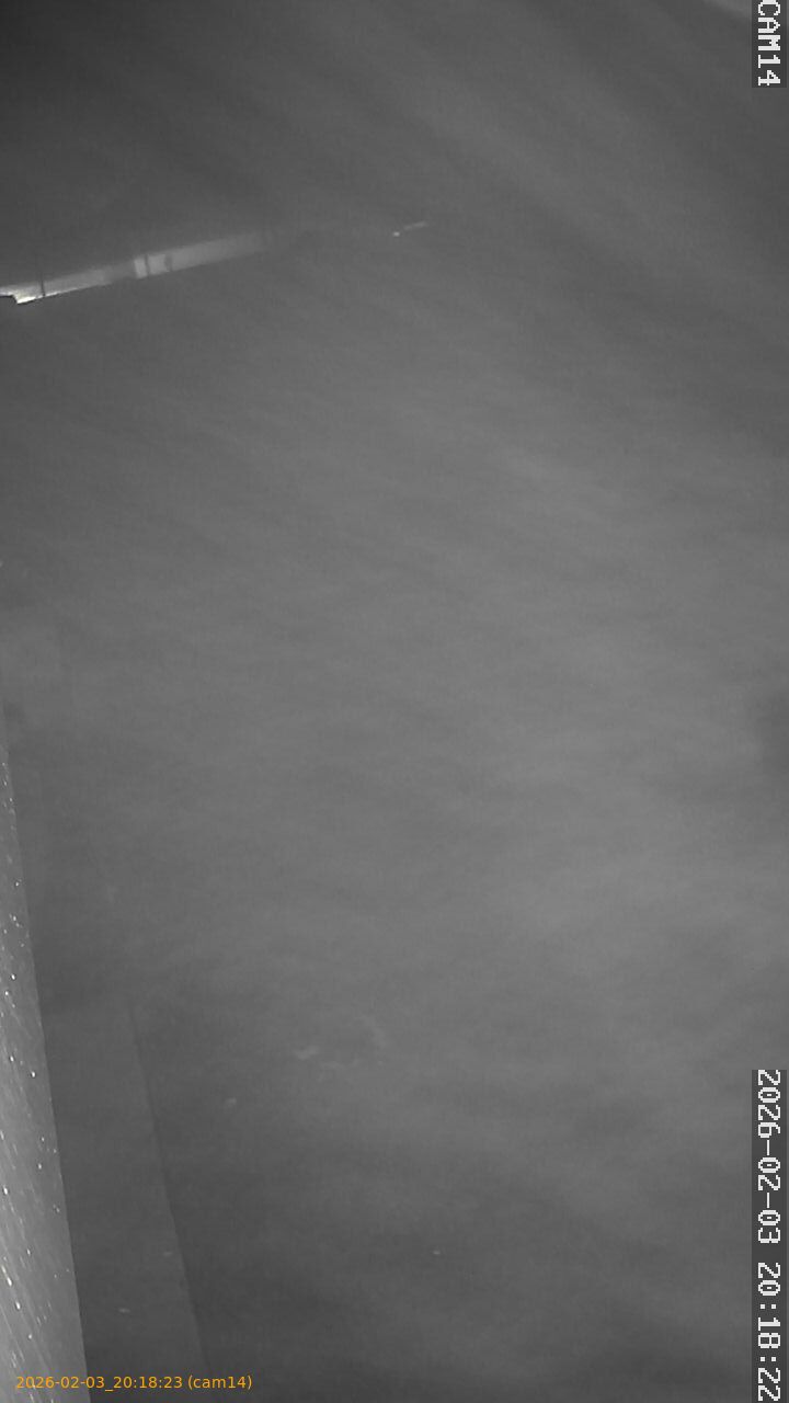 thumbnail_20260203201823