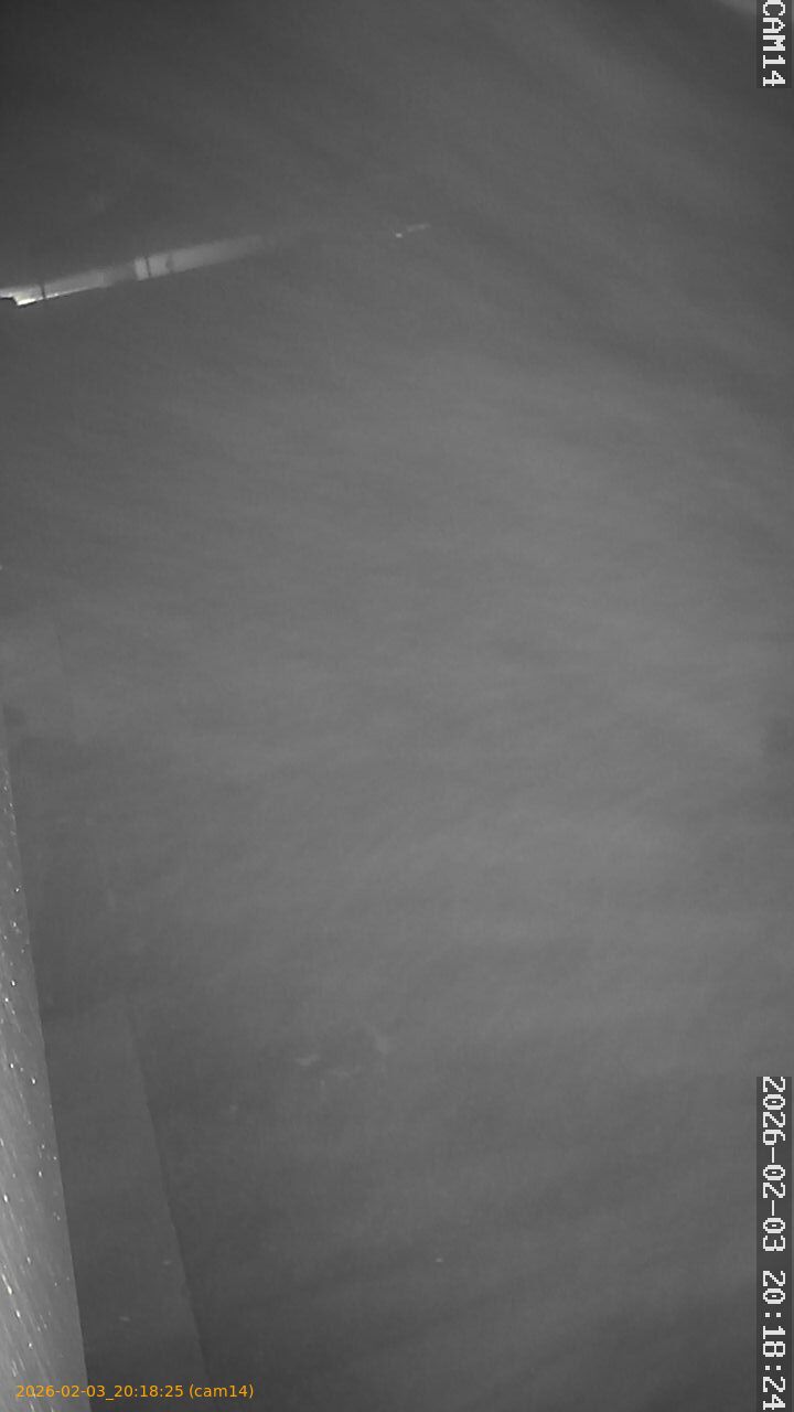 thumbnail_20260203201825