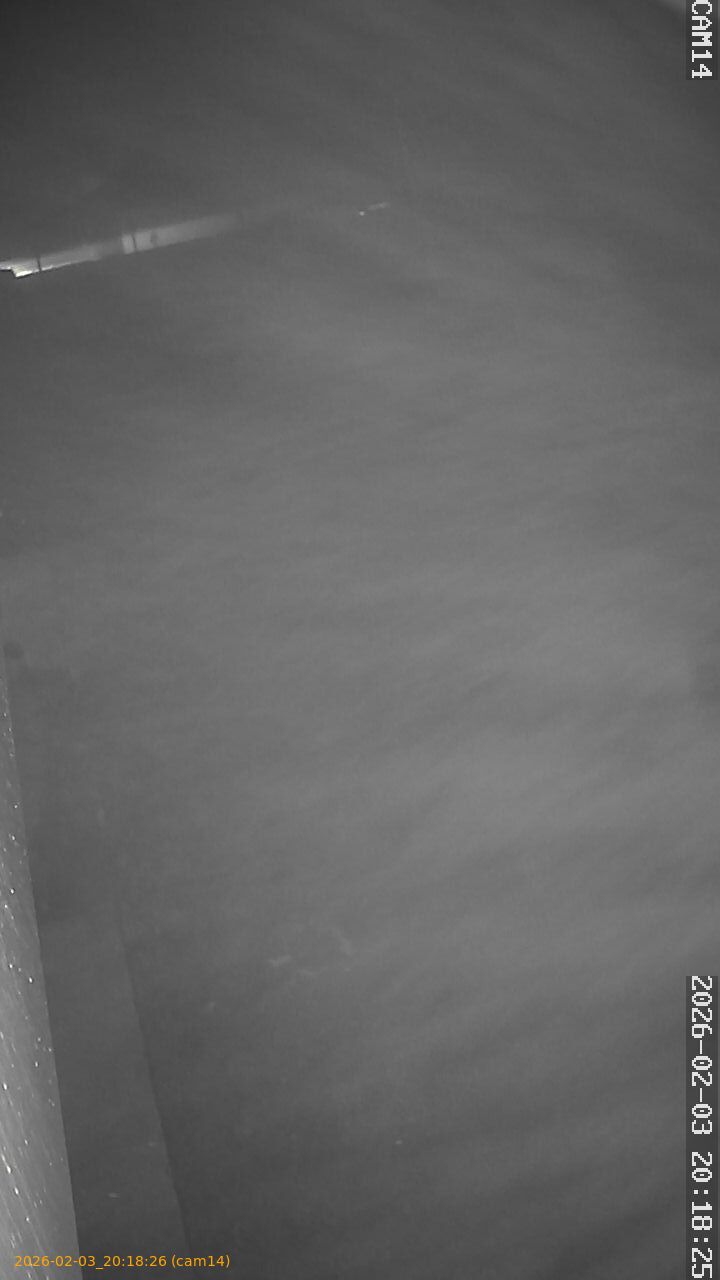 thumbnail_20260203201826