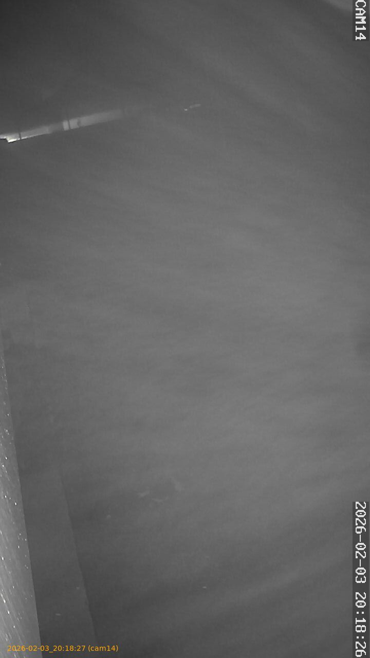 thumbnail_20260203201827