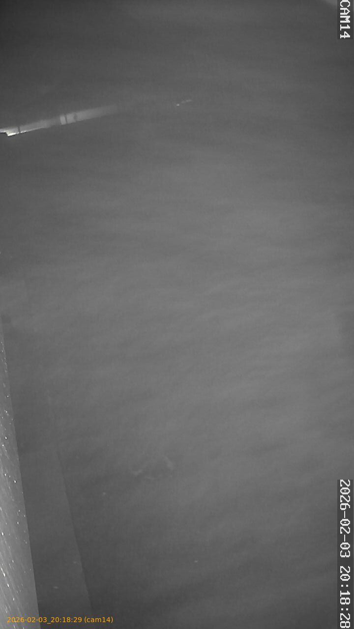 thumbnail_20260203201829