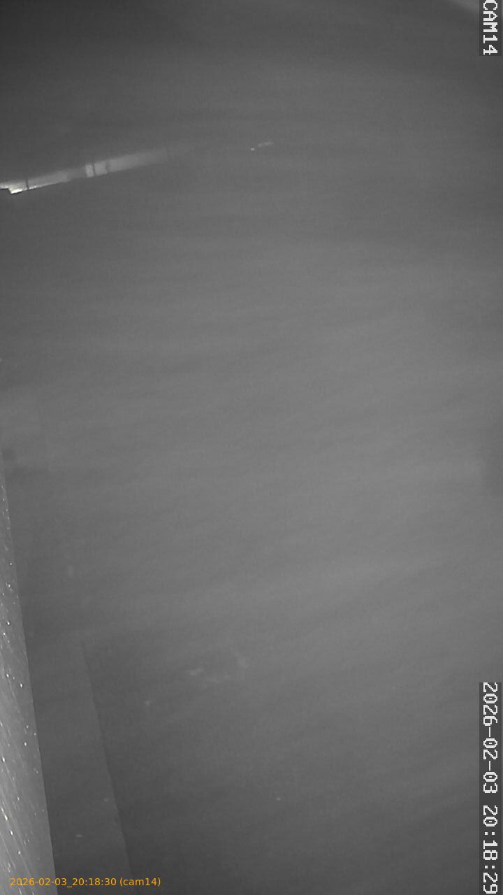 thumbnail_20260203201830