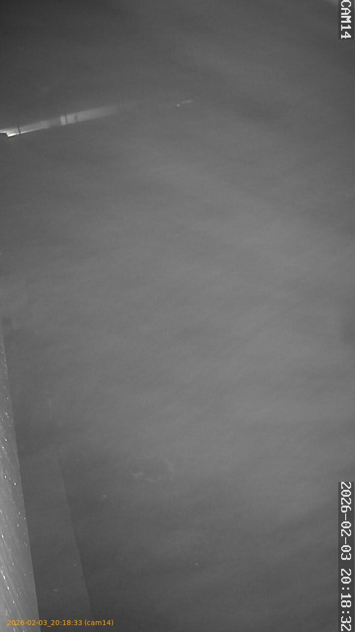 thumbnail_20260203201833