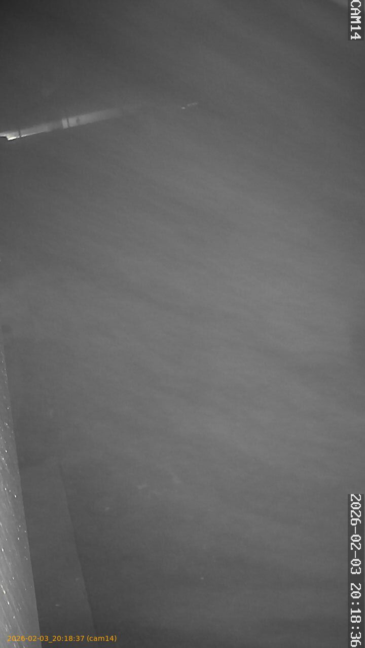 thumbnail_20260203201837