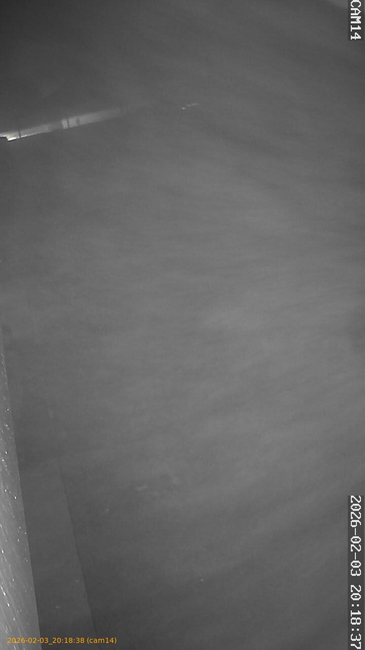 thumbnail_20260203201838