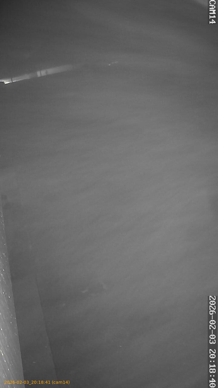 thumbnail_20260203201841