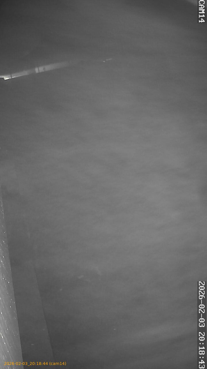 thumbnail_20260203201844