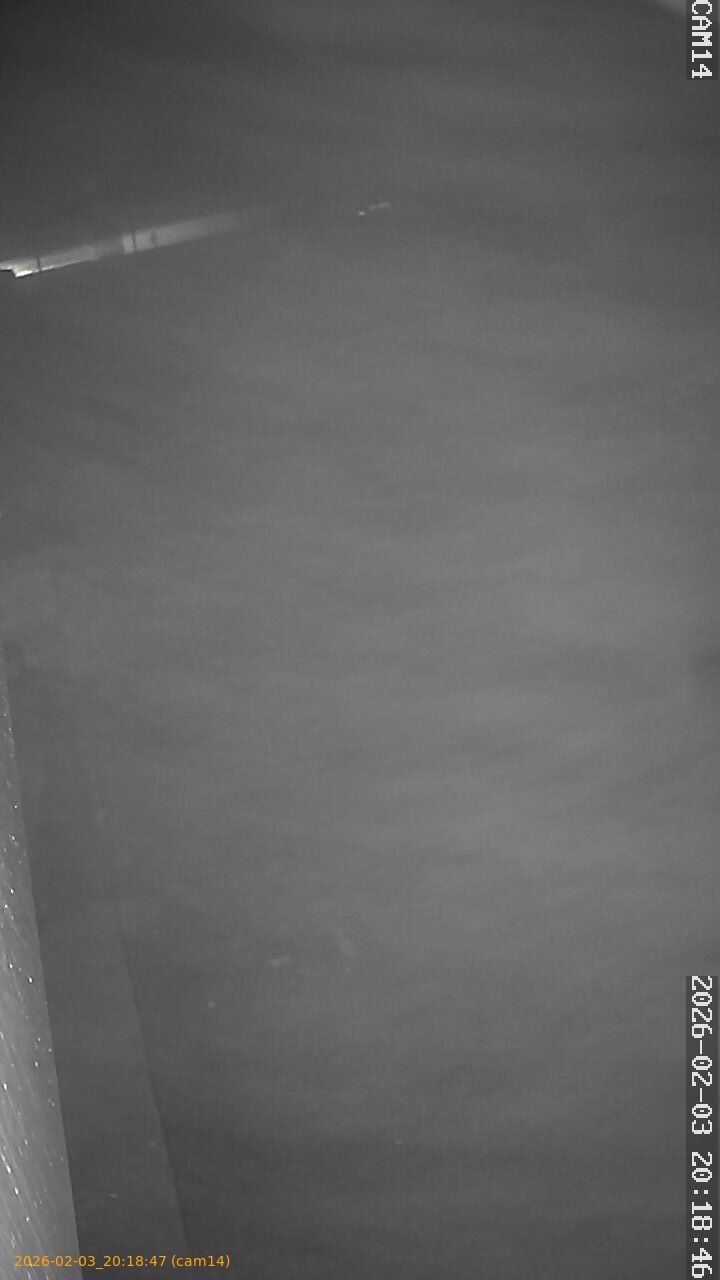 thumbnail_20260203201847