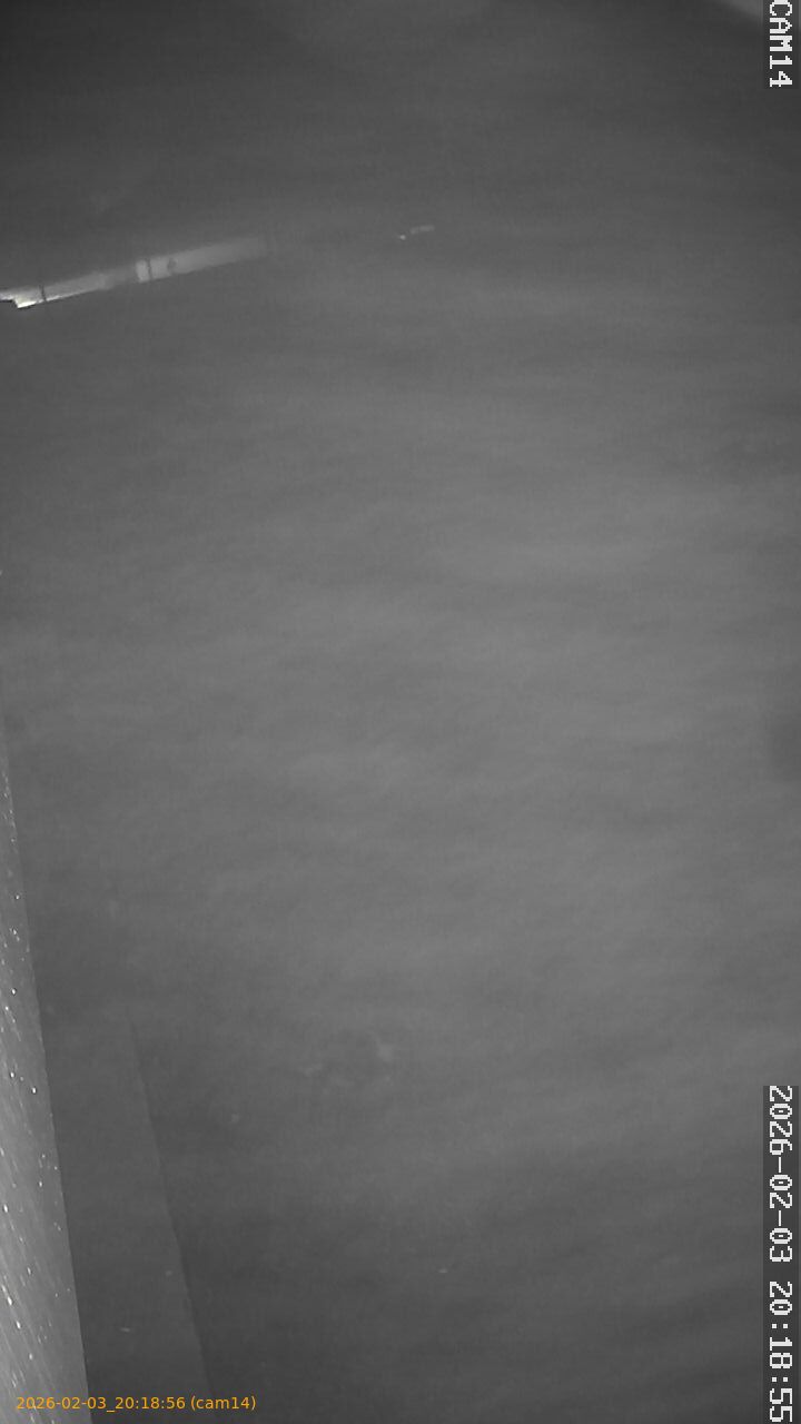 thumbnail_20260203201856