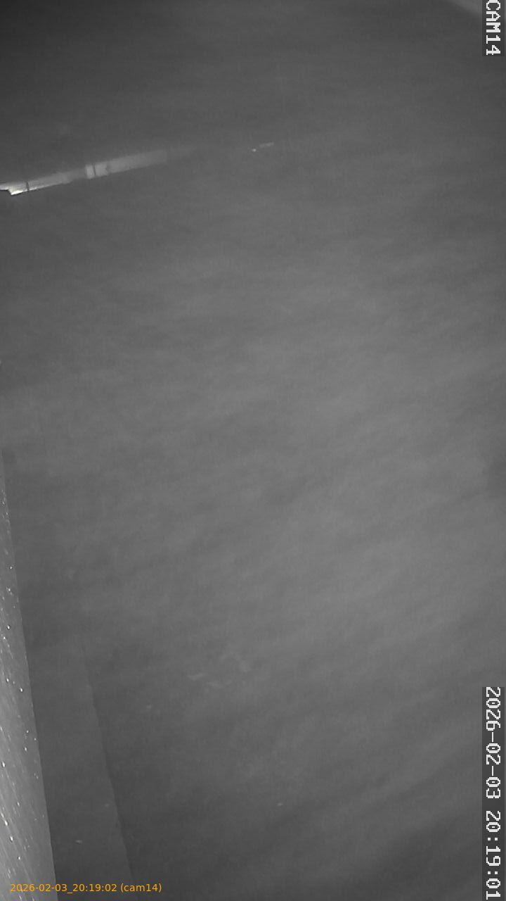 thumbnail_20260203201902