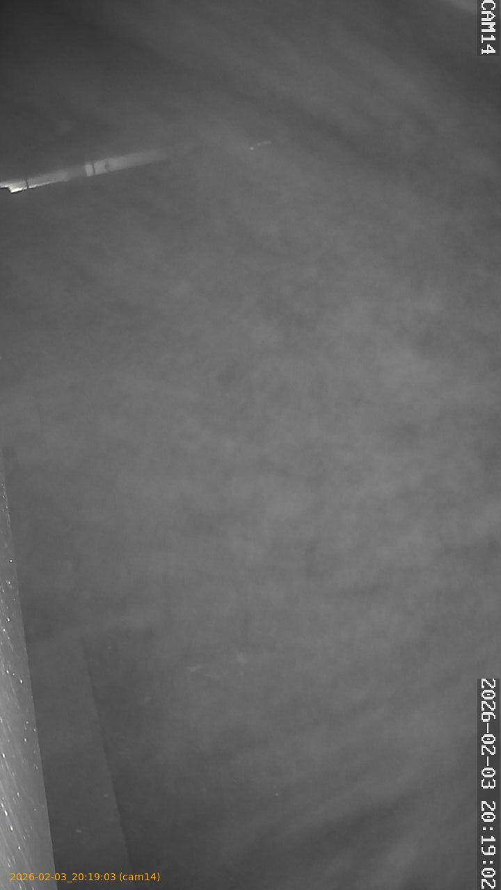 thumbnail_20260203201903