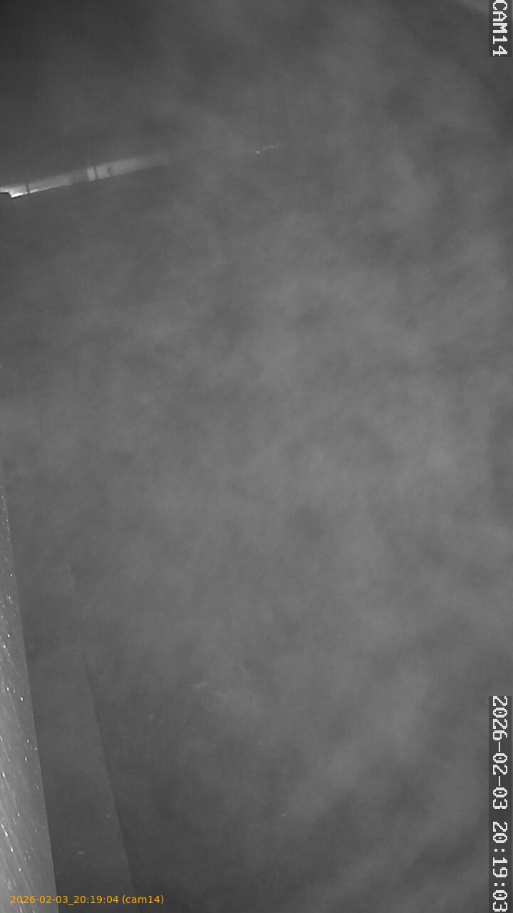 thumbnail_20260203201904