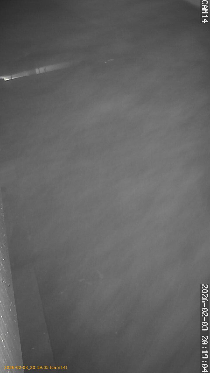 thumbnail_20260203201905