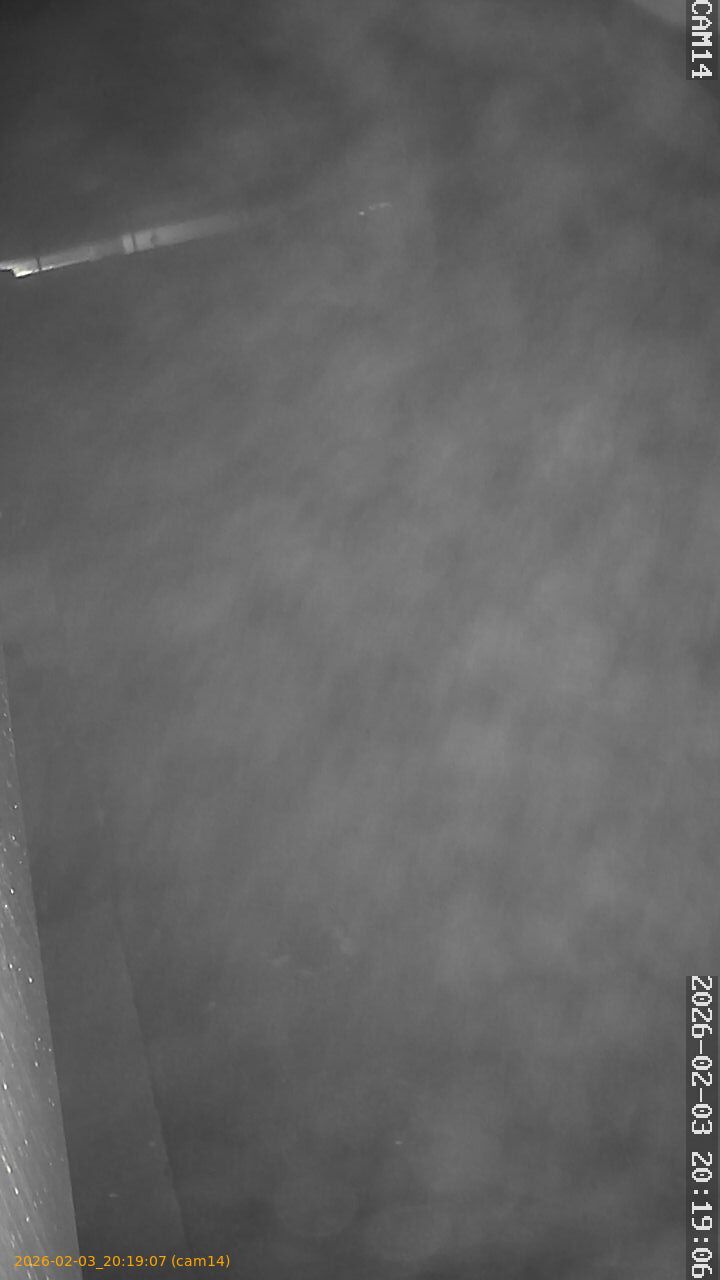 thumbnail_20260203201907